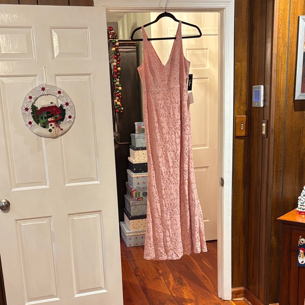 Lulu's Blush Lace Dress